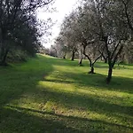 A Casa Di Olivo كاستيلنوفو ماغرا