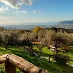 A Casa Di Olivo *