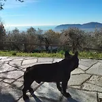 فيلة A Casa Di Olivo