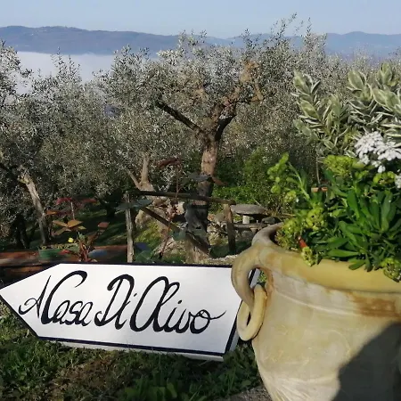 Villa A Casa Di Olivo *