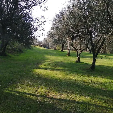 A Casa Di Olivo קסטלנואובו מגרה