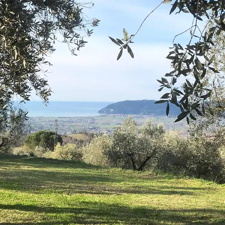A Casa Di Olivo Villa *