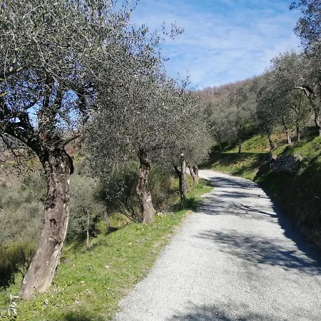 Villa A Casa Di Olivo *