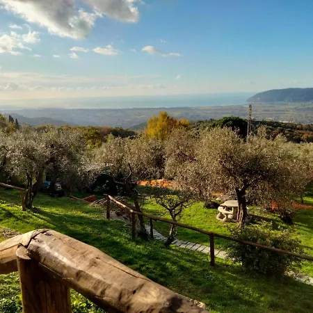 A Casa Di Olivo *
