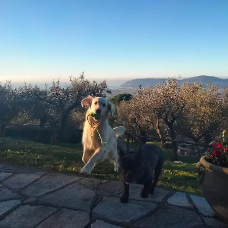 Villa A Casa Di Olivo *