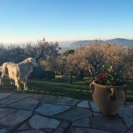 וילה A Casa Di Olivo *