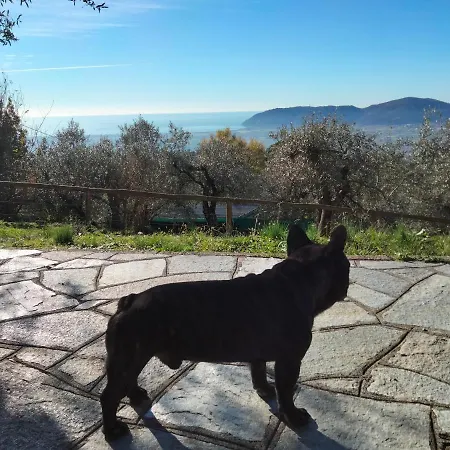 Villa A Casa Di Olivo