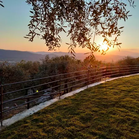 A Casa Di Olivo *
