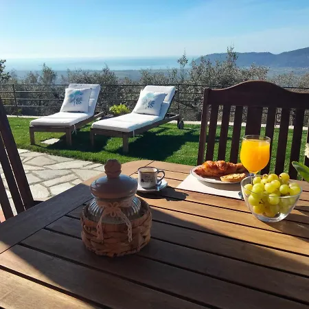 A Casa Di Olivo Villa *