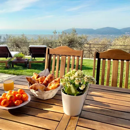 A Casa Di Olivo Vila