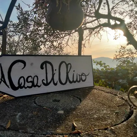A Casa Di Olivo Villa Castelnuovo Magra