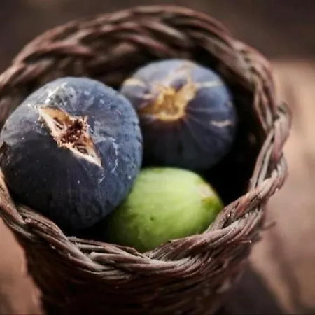 A Casa Di Olivo Villa *