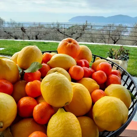 Villa A Casa Di Olivo Castelnuovo Magra