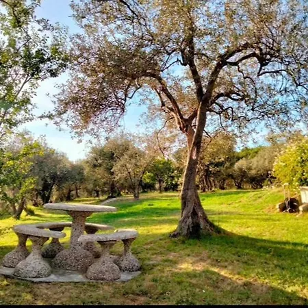 Villa A Casa Di Olivo Castelnuovo Magra