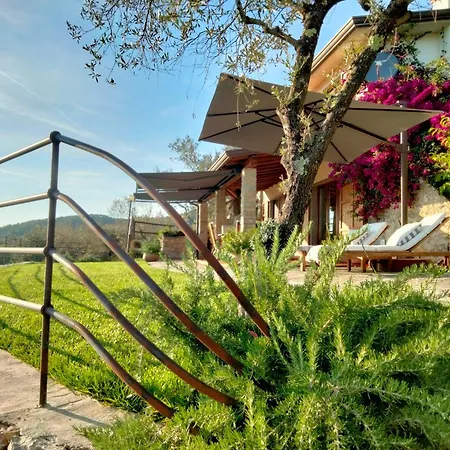 Villa A Casa Di Olivo