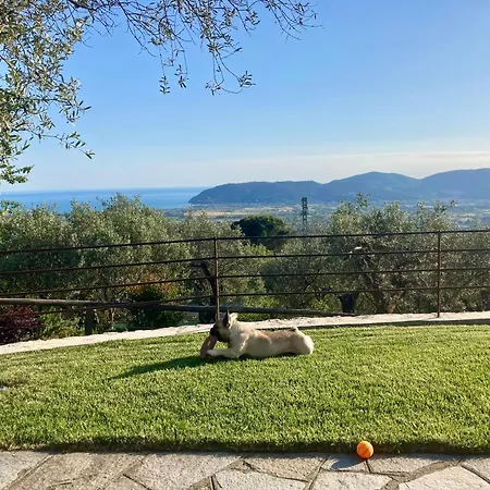 A Casa Di Olivo Villa *