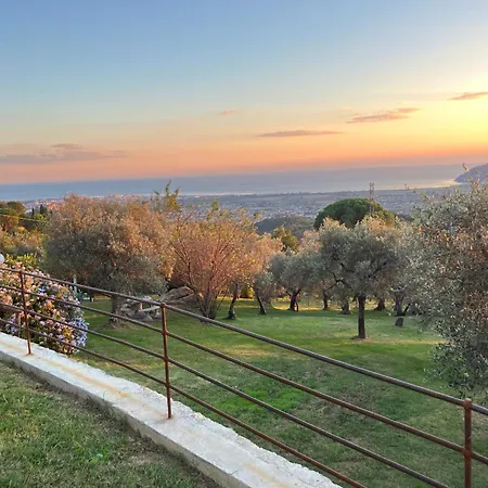 A Casa Di Olivo Villa