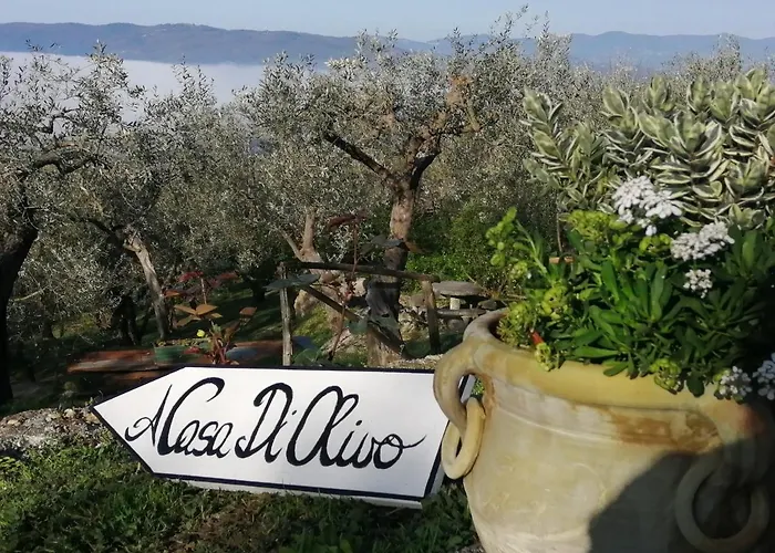 Villa A Casa Di Olivo *