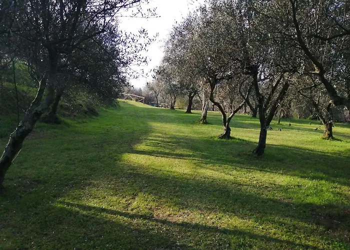 A Casa Di Olivo Castelnuovo Magra