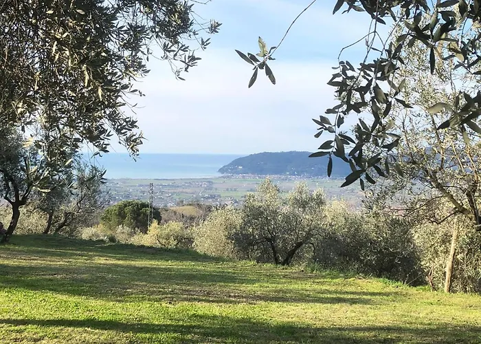 A Casa Di Olivo Villa *