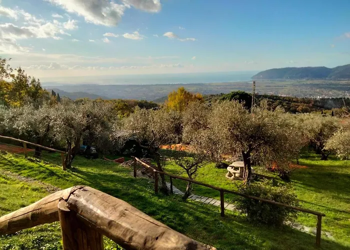 A Casa Di Olivo *