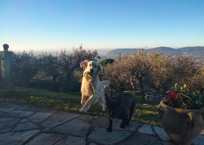 Villa A Casa Di Olivo *