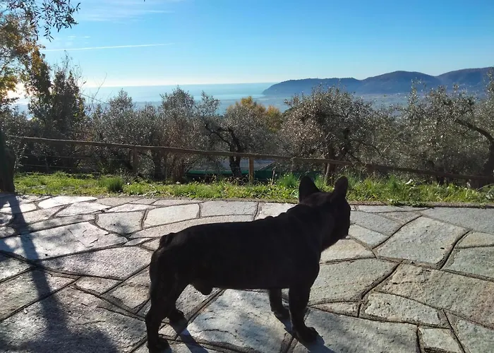 Villa A Casa Di Olivo