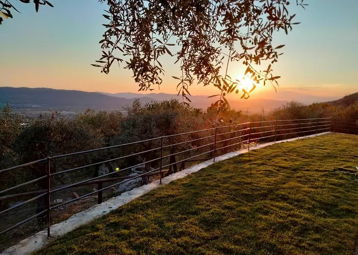 A Casa Di Olivo *