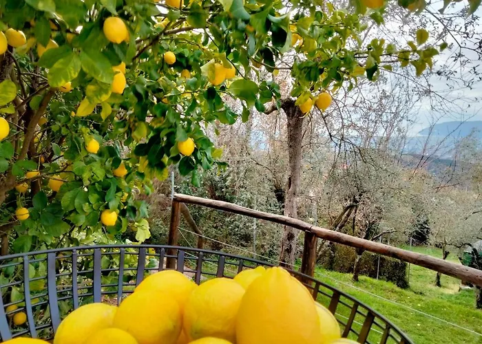 A Casa Di Olivo Villa Castelnuovo Magra
