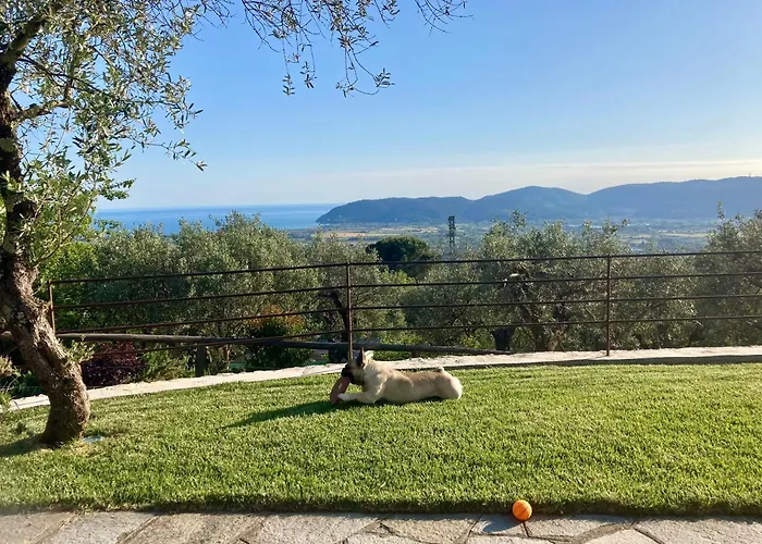 A Casa Di Olivo Villa *