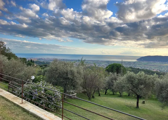 A Casa Di Olivo